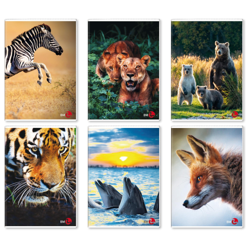 BE MORE ANIMAL QUADERNO PUNTO METALLICO 80GR 210X297 mm A4 40 FOGLI A QUADRETTI 5M FANTASIE ASSORTITE CONF 10 Pz.